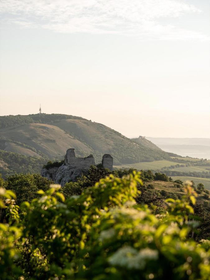 Marinada Vinicni Dum Bed and Breakfast Pavlov Εξωτερικό φωτογραφία