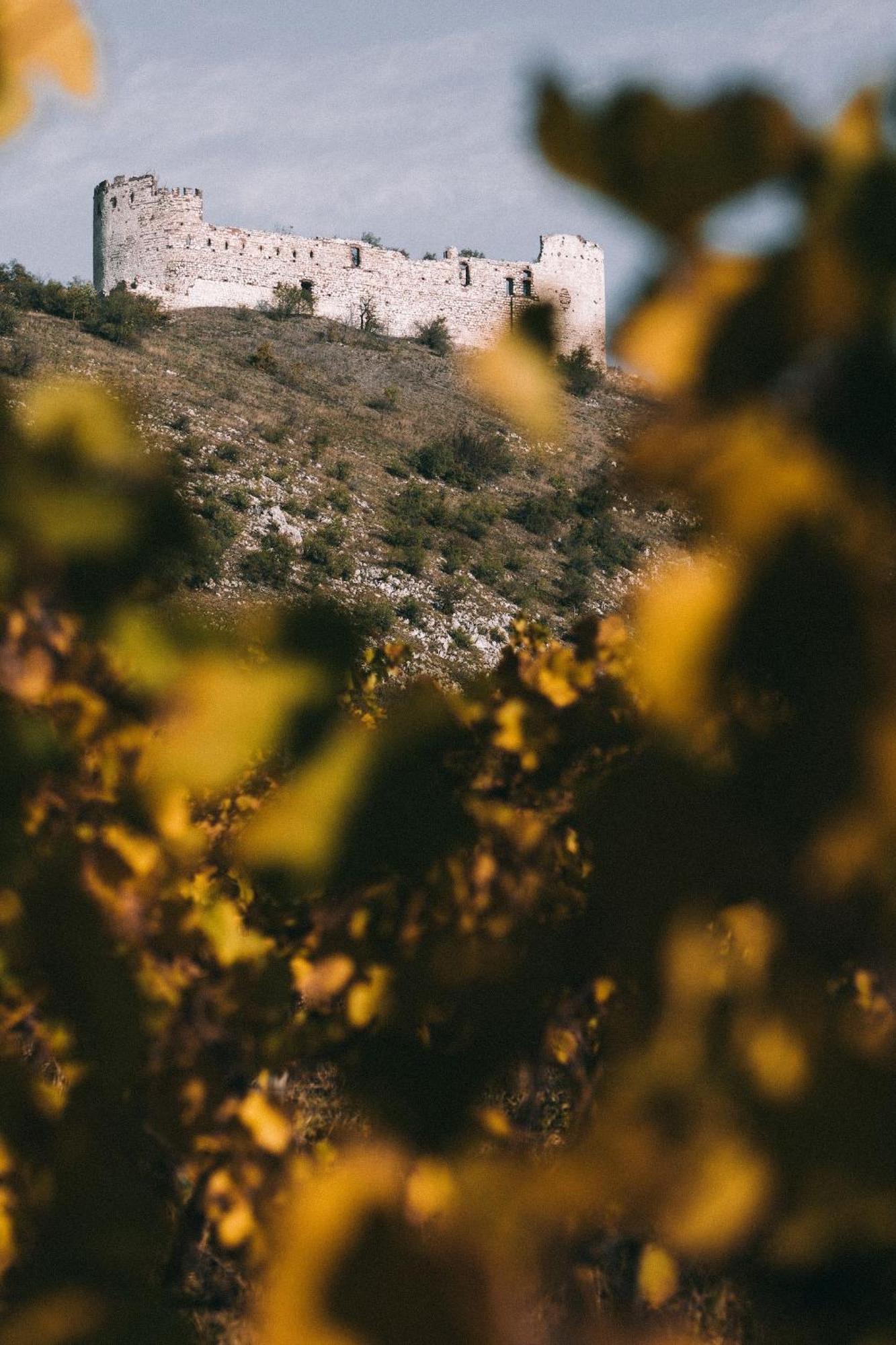 Marinada Vinicni Dum Bed and Breakfast Pavlov Εξωτερικό φωτογραφία