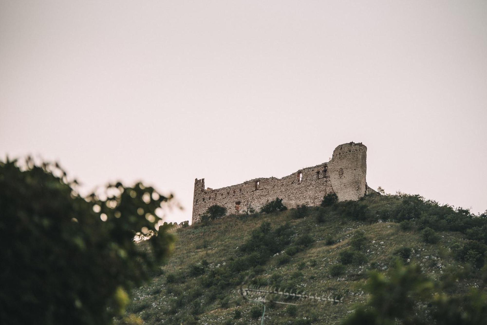Marinada Vinicni Dum Bed and Breakfast Pavlov Εξωτερικό φωτογραφία